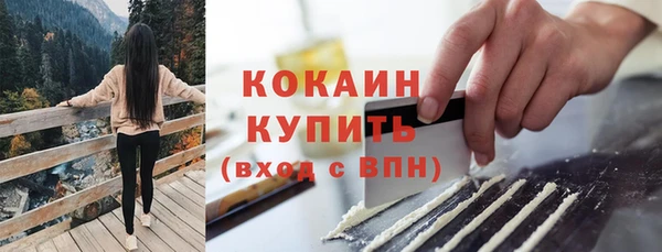 сатива Россошь