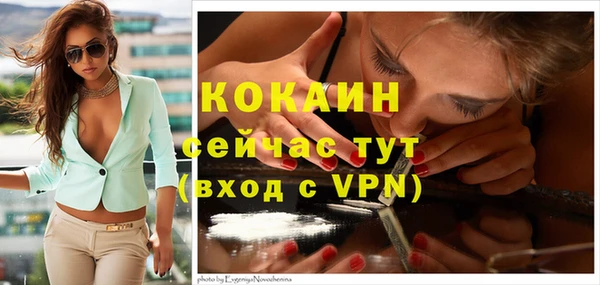дмт Ростов